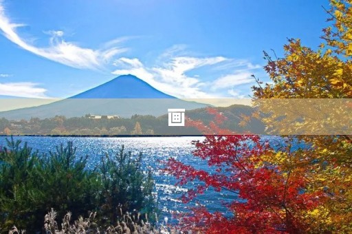 画