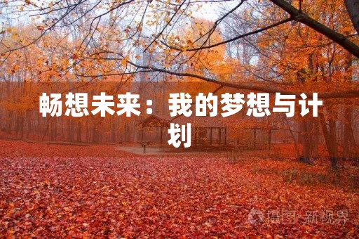 畅想未来：我的梦想与计划