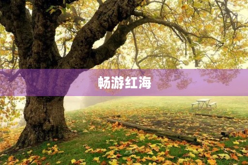 畅游红海 畅游红海