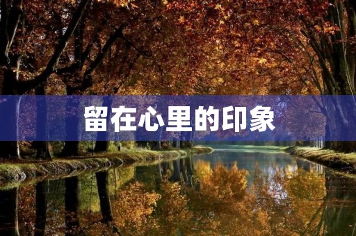 留在心里的印象