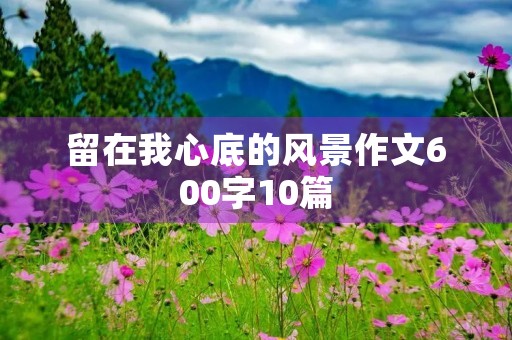 留在我心底的风景作文600字10篇