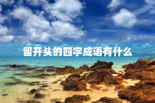 留开头的四字成语有什么
