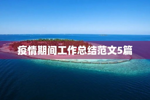 疫情期间工作总结范文5篇