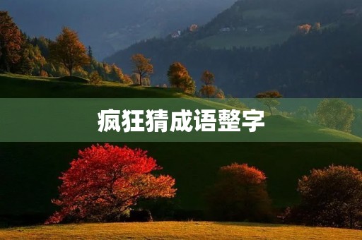 疯狂猜成语整字