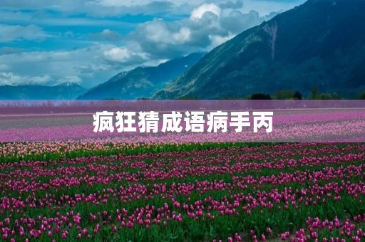 疯狂猜成语病手丙 疯狂猜成语病手丙