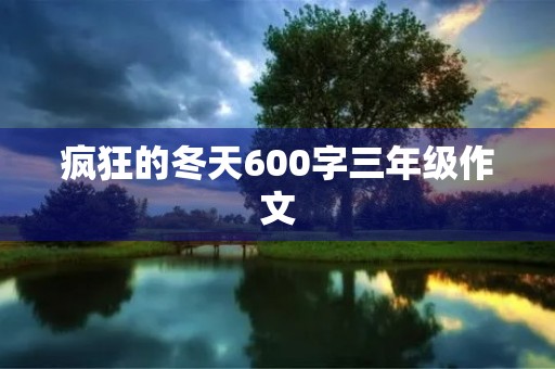 疯狂的冬天600字三年级作文