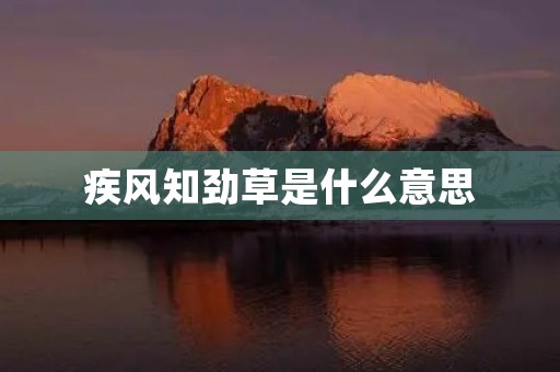 疾风知劲草是什么意思 疾风知劲草是什么意思