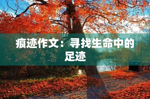 痕迹作文：寻找生命中的足迹