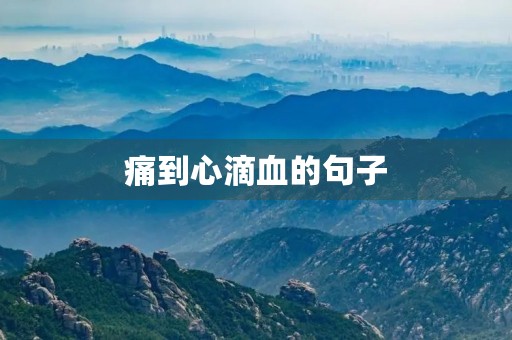 痛到心滴血的句子(痛到心滴血的句子短句) 痛到心滴血的句子(痛到心滴血的句子短句)