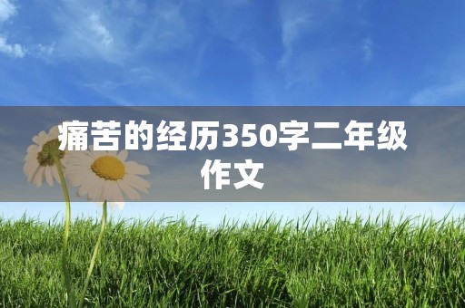 痛苦的经历350字二年级作文