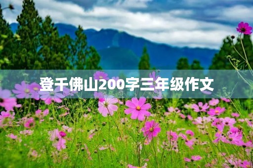 登千佛山200字三年级作文