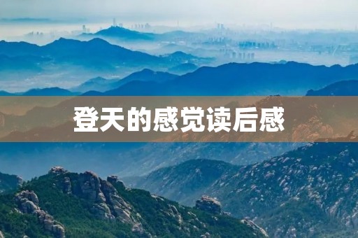 登天的感觉读后感