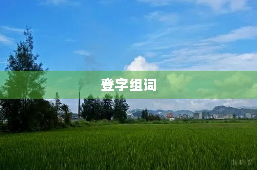 登字组词(登组词)