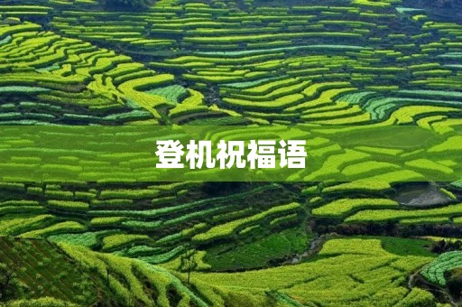 登机祝福语(坐飞机前的祝福短信)