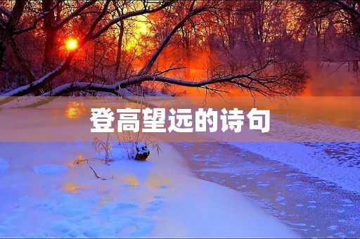 登高望远的诗句