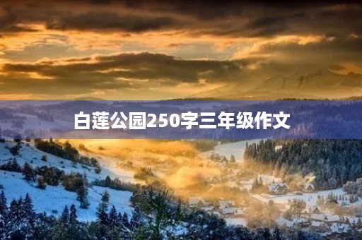 白莲公园250字三年级作文 白莲公园250字三年级作文