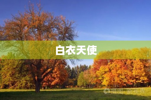 白衣天使，你们辛苦了