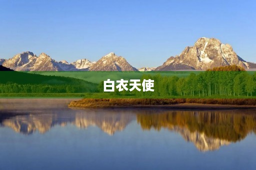 白衣天使，您辛苦了！