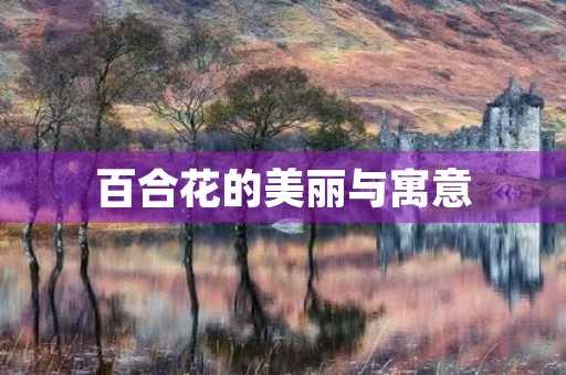 百合花的美丽与寓意