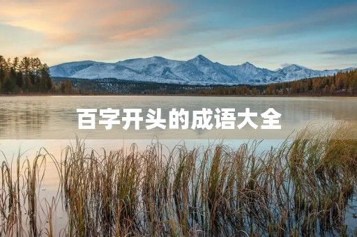 百字开头的成语大全