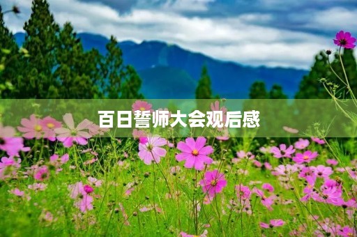 百日誓师大会观后感 百日誓师大会观后感