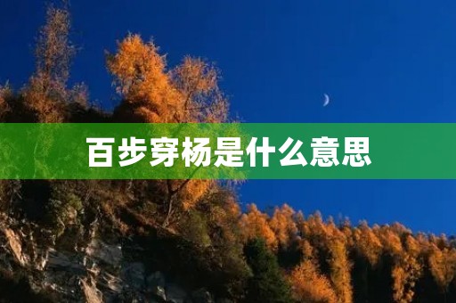 百步穿杨是什么意思 百步穿杨是什么意思