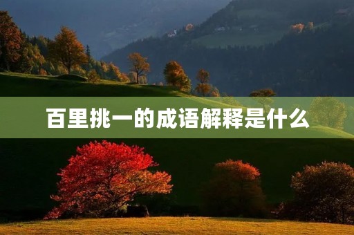 百里挑一的成语解释是什么
