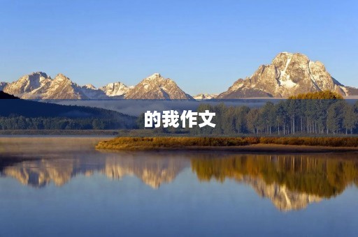 的我作文