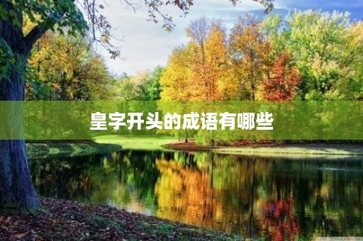 皇字开头的成语有哪些