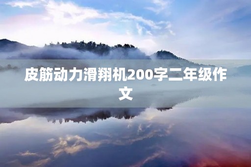 皮筋动力滑翔机200字二年级作文