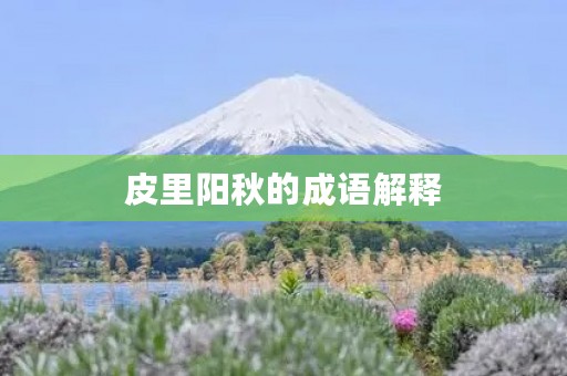 皮里阳秋的成语解释