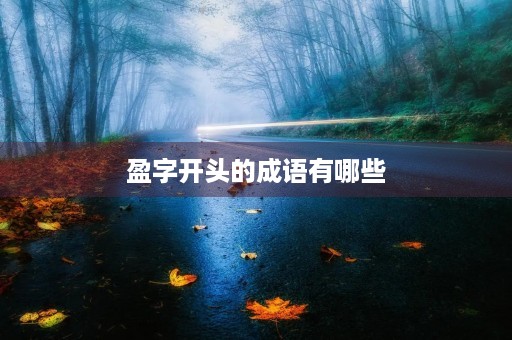 盈字开头的成语有哪些