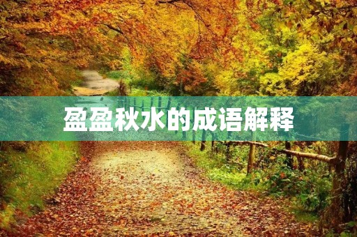 盈盈秋水的成语解释 盈盈秋水的成语解释