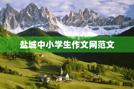 盐城中小学生作文网范文 盐城中小学生作文网范文