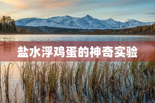 盐水浮鸡蛋的神奇实验 盐水浮鸡蛋的神奇实验