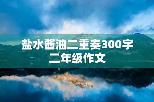 盐水酱油二重奏300字二年级作文