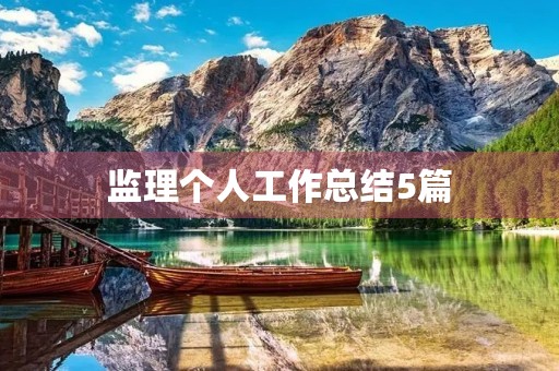 监理个人工作总结5篇