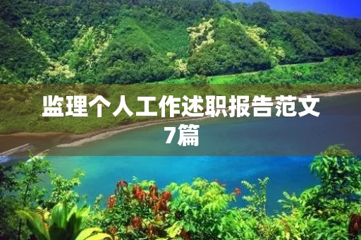 监理个人工作述职报告范文7篇