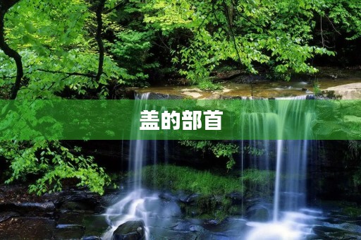 盖的部首(盖的部首) 盖的部首(盖的部首)