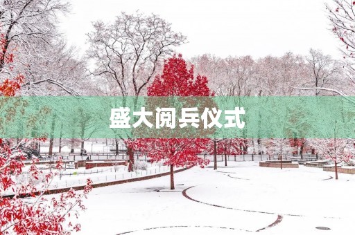 盛大阅兵仪式 盛大阅兵仪式