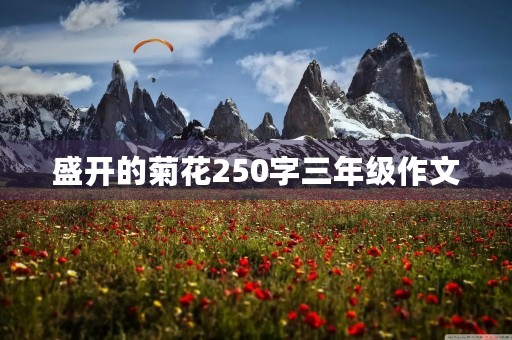 盛开的菊花250字三年级作文