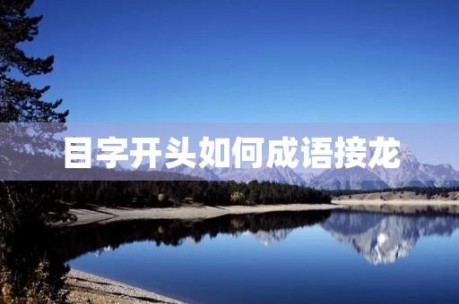 目字开头如何成语接龙