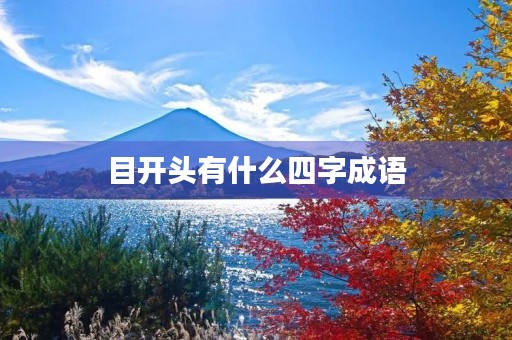 目开头有什么四字成语