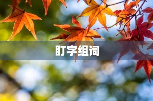 盯字组词(盯的组词) 盯字组词(盯的组词)