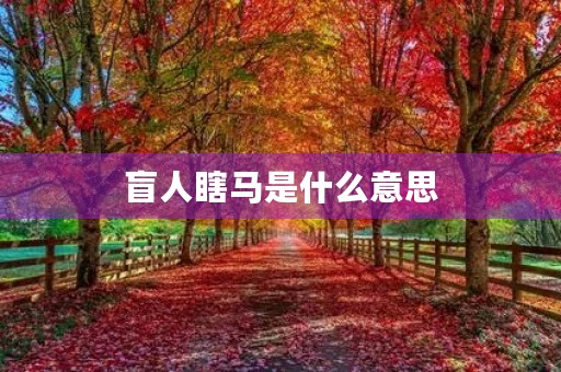 盲人瞎马是什么意思