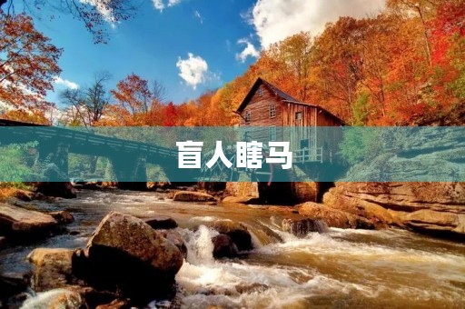 盲人瞎马，一场闹剧
