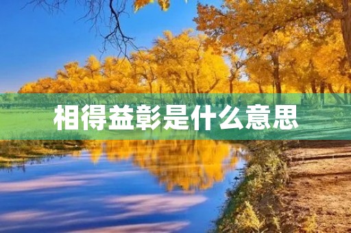 相得益彰是什么意思