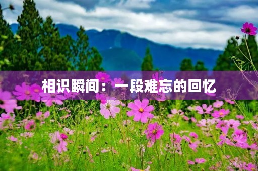 相识瞬间：一段难忘的回忆