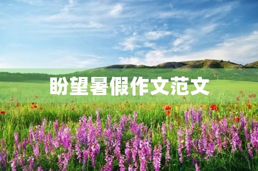 盼望暑假作文范文