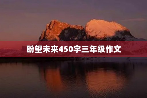 盼望未来450字三年级作文